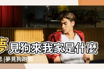 【夢見小狗跑到我家】夢見狗來我家是什麼意思 |夢見狗跑到家裡來是件好事嗎 |夢見小狗跑到自己家裡 |