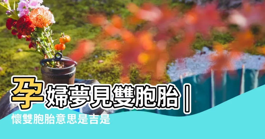 孕婦夢見雙胞胎 |懷雙胞胎意思是吉是兇 |夢見自己懷孕 |【懷孕的人夢見自己懷了雙胞胎】