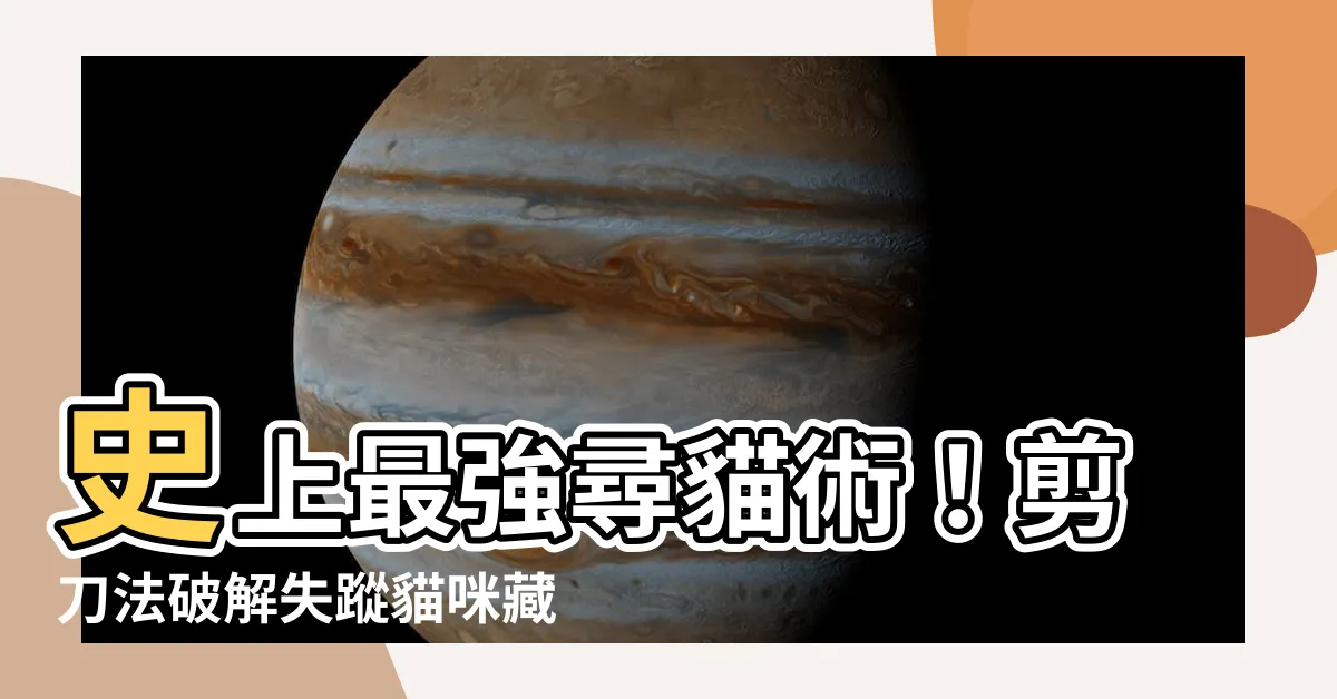 【剪刀法】史上最強尋貓術！剪刀法破解失蹤貓咪藏匿秘密！