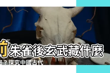 【前朱雀後玄武】前朱雀後玄武藏什麼秘密？探究中國古代建築的神秘佈局