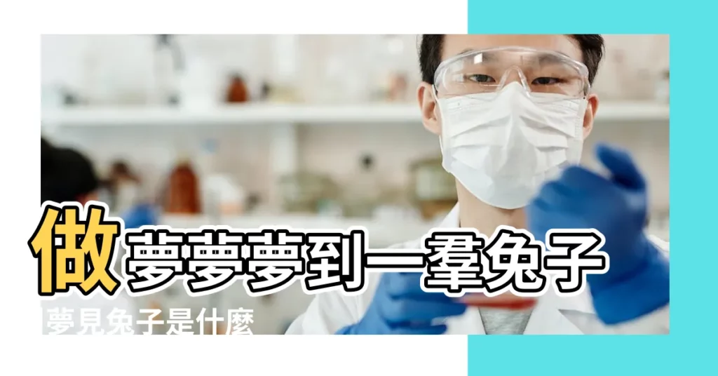 做夢夢夢到一羣兔子 |夢見兔子是什麼意思 |夢見兔子做夢夢到是什麼意思會怎麼樣好不好 |【已婚女人夢見一羣兔子是什麼意思】