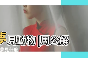 【做夢夢見在河裏爪東西】夢見動物 |周公解夢 |夢見什麼 |