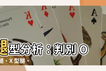 【腿型分析】腿型分析：判別 O 型腿、X 型腿、XO 型腿的關鍵要點