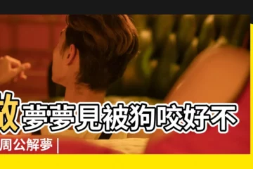 【解夢夢見自己被狗咬着】做夢夢見被狗咬好不好 |周公解夢 |做夢被狗咬是什麼預兆 |