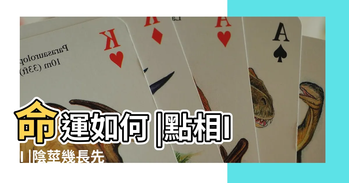 【龜頭有墨】命運如何 |點相III |陰莖幾長先叫好命相 |