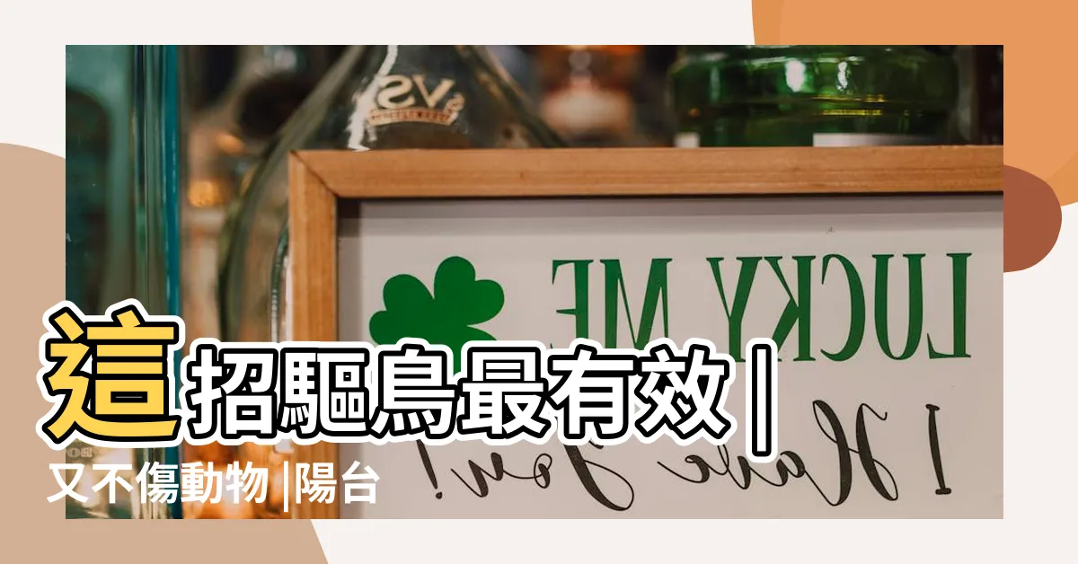 【小鳥來家裡築巢】這招驅鳥最有效 |又不傷動物 |陽台驅鳥方法百百種 |