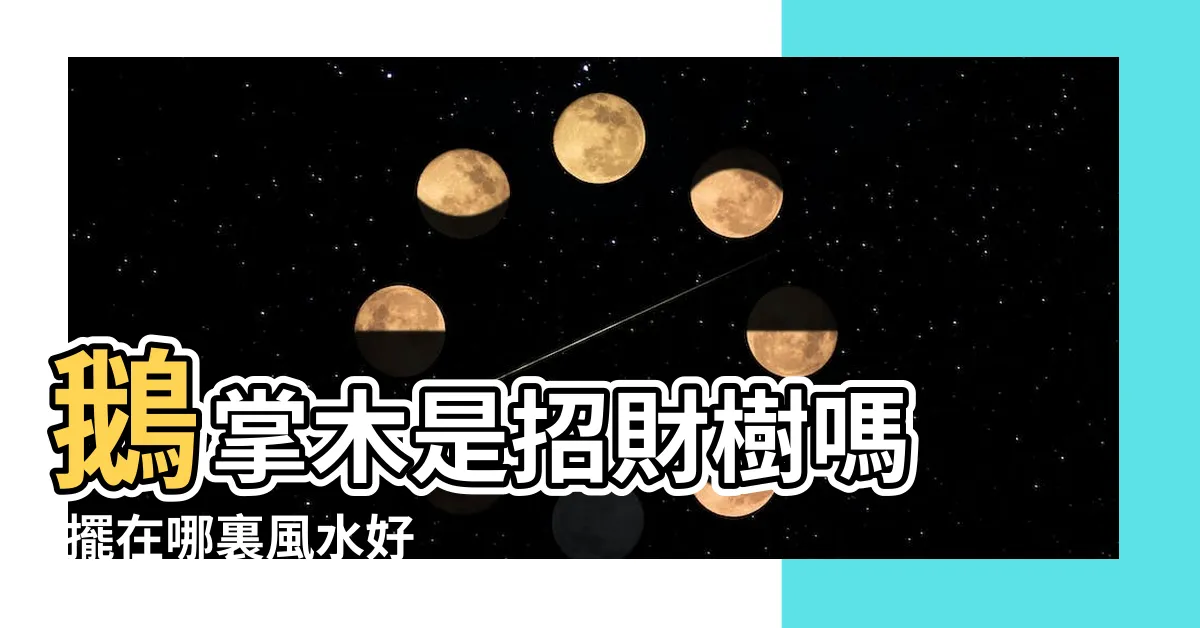 【鵝掌藤風水】鵝掌木是招財樹嗎 |擺在哪裏風水好 |有關鵝掌木的這四大風水寓意你都 |