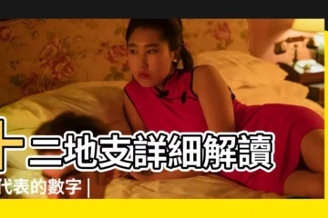 【八卦丙在五行是什麼生肖】十二地支詳細解讀 |所代表的數字 |八卦命理 |