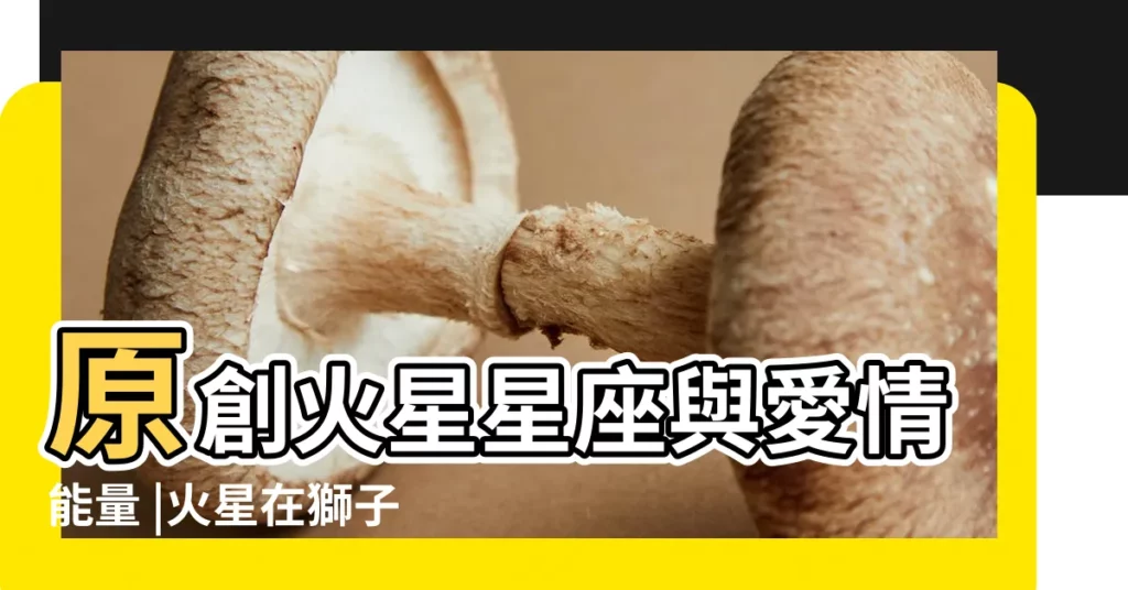原創火星星座與愛情能量 |火星在獅子座的男人和女人 |火星在獅子座的男人 |【火星獅子座的男人】