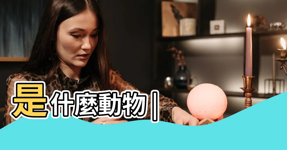 【蜪犬】是什麼動物 |