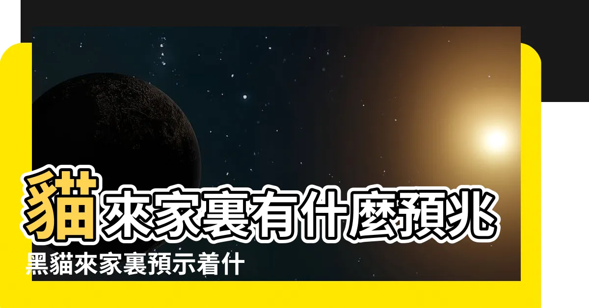 【黑貓來家裏代表什麼】貓來家裏有什麼預兆黑貓來家裏預示着什麼 |黑貓進屋是什麼徵兆 |有什麼説法嗎 |