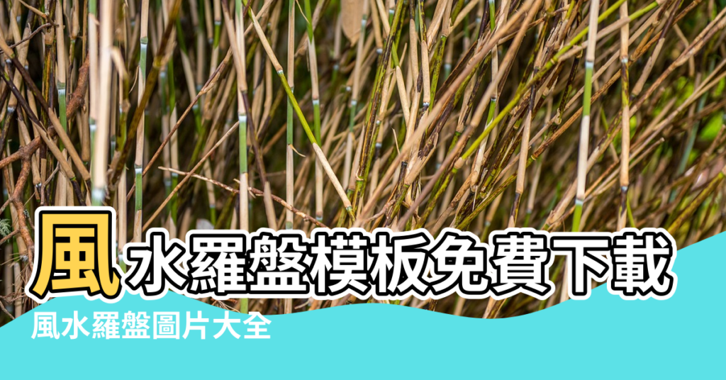 【風水用羅盤圖片】風水羅盤模板免費下載 |風水羅盤圖片大全 |風水羅盤圖片PNG去背圖 |