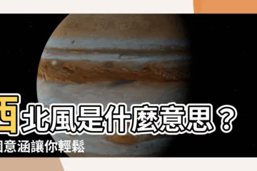 【西北風 意思】西北風是什麼意思？2 個意涵讓你輕鬆秒懂！