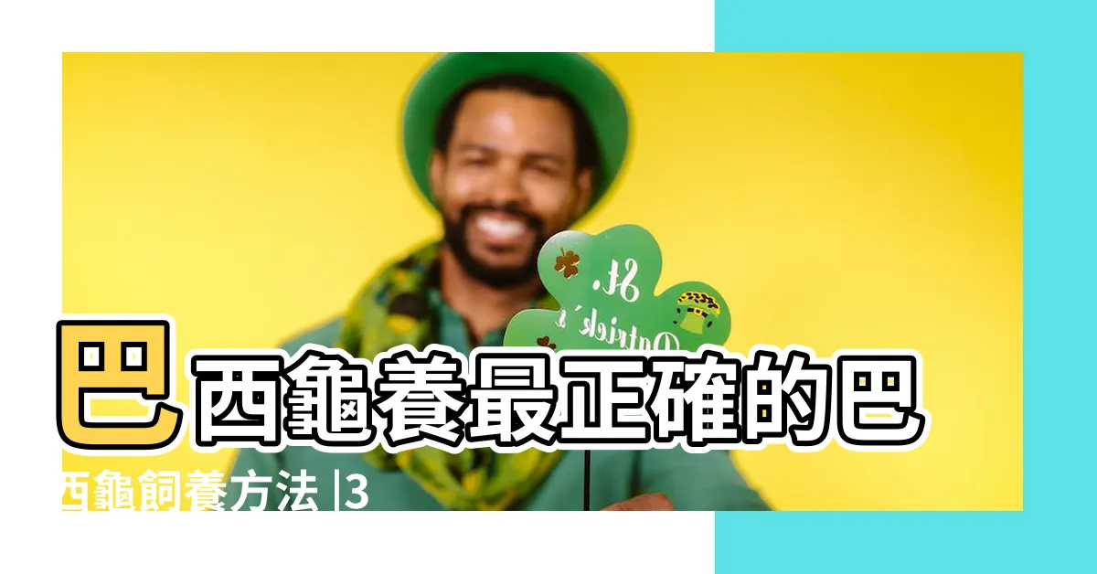 【巴西龜怎麼養】巴西龜養最正確的巴西龜飼養方法 |3分鐘就能學會的超實用巴西龜飼養知識 |巴西龜怎麼養 |