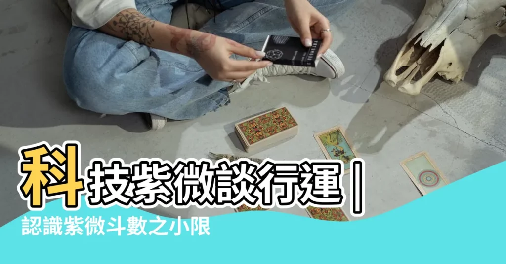 科技紫微談行運 |認識紫微斗數之小限 |紫微行運 |【紫微鬥數 小運】