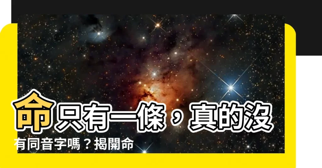 【命 同音字】命只有一條，真的沒有同音字嗎？揭開命運與死亡的語言秘密