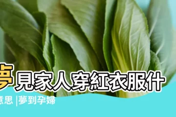 【孕婦夢見家人穿紅衣服】夢見家人穿紅衣服什麼意思 |夢到孕婦穿紅色衣服 |做夢夢見親人穿紅衣服好不好 |