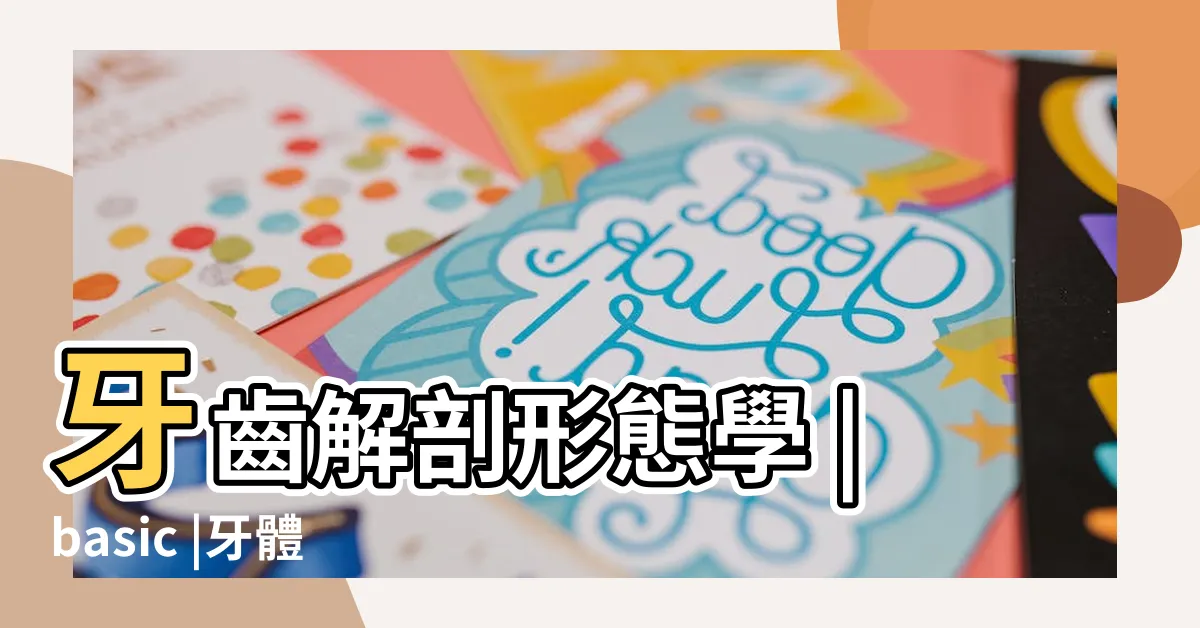 【牙齒形態學】牙齒解剖形態學 |basic |牙體形態學 |