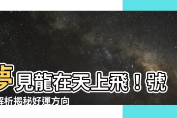 【夢見龍在天上飛號碼】夢見龍在天上飛！號碼解析揭秘好運方向