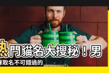 【貓名 男】熱門貓名大搜秘！男貓咪取名不可錯過的指南