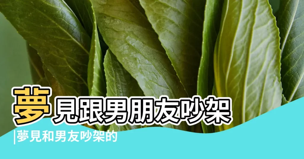 夢見跟男朋友吵架 |夢見和男友吵架的徵兆 |夢見和男友吵架 |【夢見自己跟男朋友鬧彆扭】