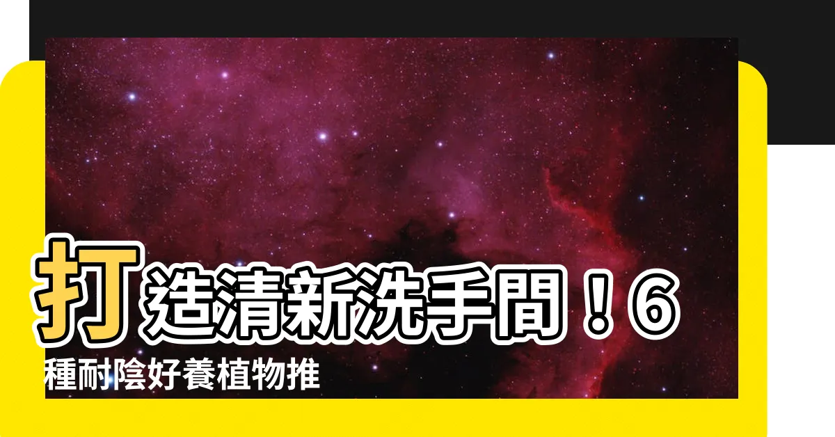 【洗手間植物】打造清新洗手間！6 種耐陰好養植物推薦，營造療癒綠意！