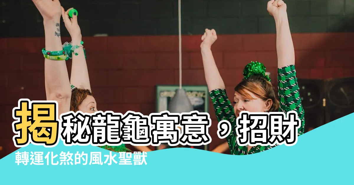 【龍龜寓意】揭秘龍龜寓意，招財轉運化煞的風水聖獸！