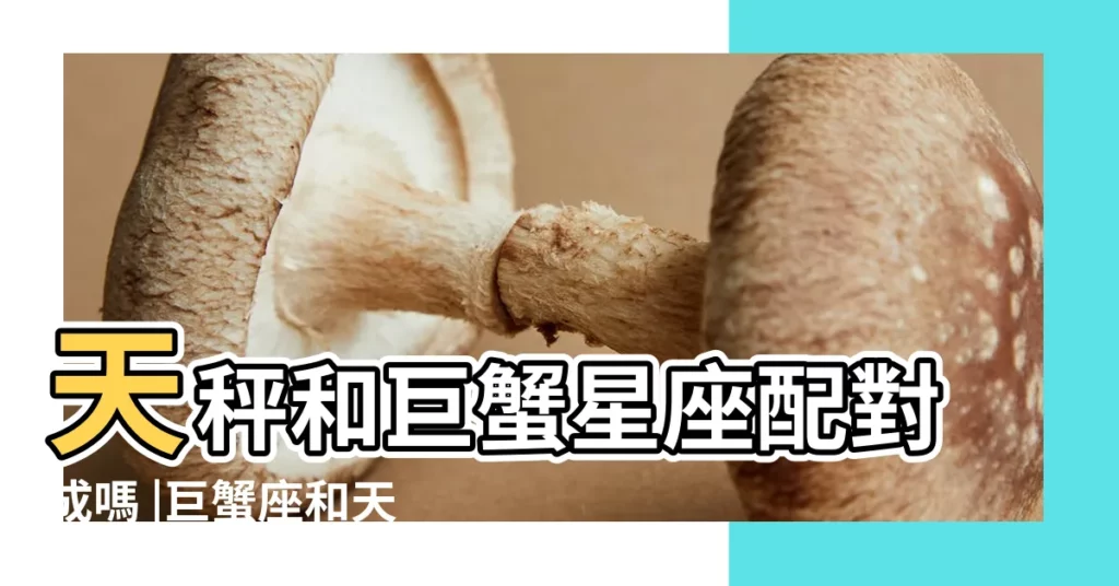天秤和巨蟹星座配對成嗎 |巨蟹座和天秤座配嗎配對指數是多少 |12星座中天秤座和什麼座最配 |【天平座和巨蟹配嗎】