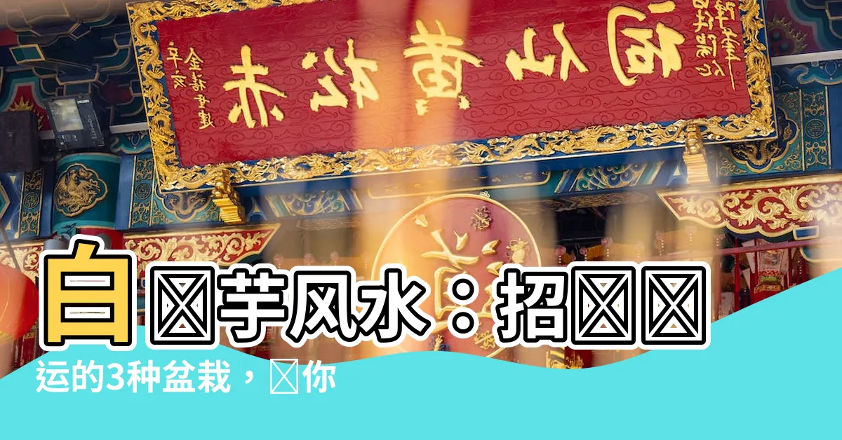 【白鶴芋風水】白鶴芋風水：招財開運的3種盆栽，讓你事業一帆風順！