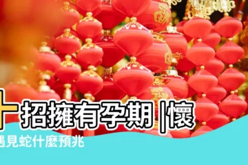 【孕婦遇到蛇什麼徵兆】十招擁有孕期 |懷孕遇見蛇什麼預兆 |孕婦夢見蛇預示啥 |