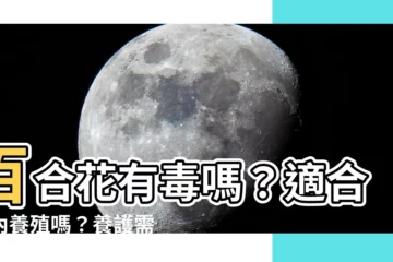 【百合花有毒】百合花有毒嗎？適合室內養殖嗎？養護需知一次瞭解！