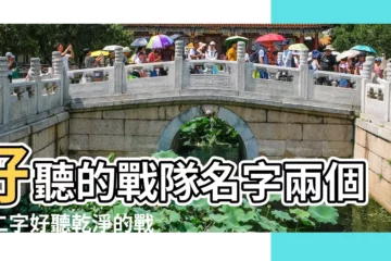 【兩個字霸氣戰隊網名】好聽的戰隊名字兩個字二字好聽乾淨的戰隊名 |戰隊網名2個字霸氣的 |特別吸引人的戰隊名字 |