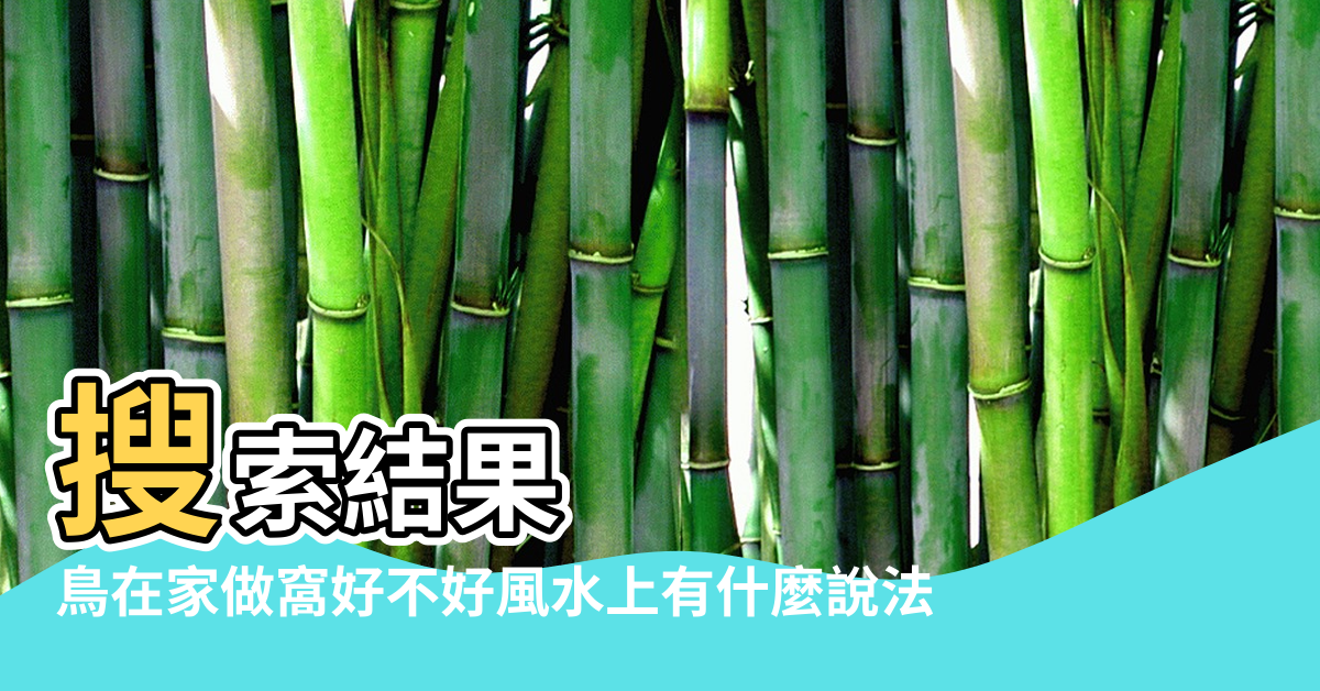 【樓房屋簷有鳥窩風水】搜索結果 |鳥在家做窩好不好風水上有什麼說法 |窗戶上有鳥窩什麼兆頭有好運嗎 |