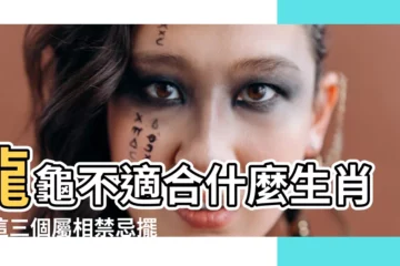 【龍龜不適合什麼生肖】龍龜不適合什麼生肖？這三個屬相禁忌擺放，恐招災、運勢下滑！