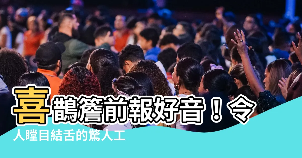 【喜鵲簷前報好音工作】喜鵲簷前報好音！令人瞠目結舌的驚人工作原因曝光！