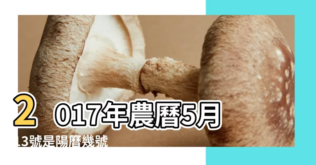 2017年農曆5月13號是陽曆幾號 |公曆2017年6月7號是什麼日子 |2017年6月7日出生時間看命運 |【2017年6月7曰屬什麼生肖】