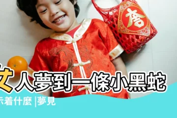 【女人做夢夢到小黑蛇】女人夢到一條小黑蛇預示着什麼 |夢見小黑蛇是什麼意思 |夢見小黑蛇 |