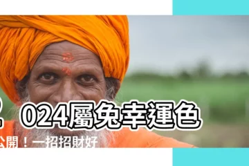 【2024屬兔幸運色】2024屬兔幸運色大公開！一招招財好運爆棚
