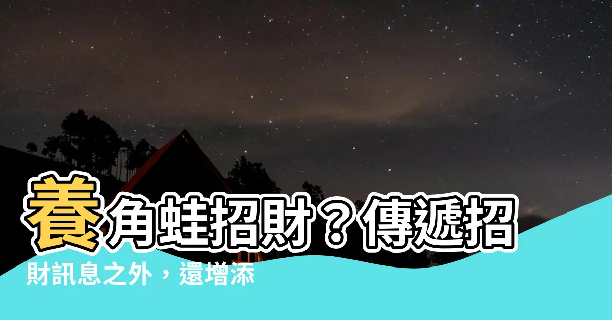 【養角蛙 招財】養角蛙招財？傳遞招財訊息之外，還增添了療癒感受！