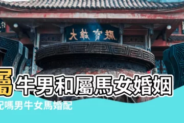 【男生肖牛和女生肖馬能配婚嗎】屬牛男和屬馬女婚姻相配嗎男牛女馬婚配怎麼樣 |屬牛男人和屬馬女人相配嗎 |屬馬男人和屬牛女人相配嗎 |