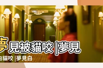 【夢見被一隻大白貓咬了】夢見被貓咬 |夢見被白貓咬 |夢見白貓咬自己 |