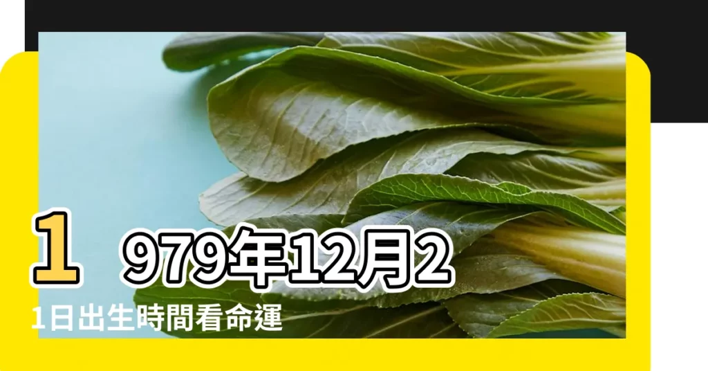 1979年12月21日出生時間看命運 |1979年12月21日出生的人命好嗎 |農曆1979年12月21日生日算命 |【1979年12月21日生日命運如何】