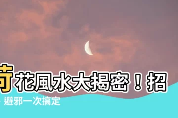 【荷花 風水】荷花風水大揭密！招財、避邪一次搞定