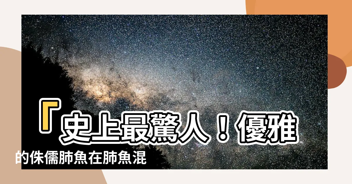 【肺魚混養】「史上最驚人！優雅的侏儒肺魚在肺魚混養下水中舞出超凡境界！」