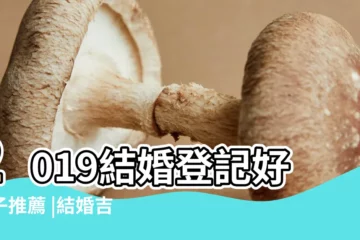 【2019二月八號結婚好嗎】2019結婚登記好日子推薦 |結婚吉日2019年2月8日結婚好嗎 |結婚登記好日子大公開 |