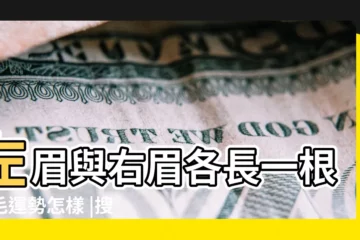 【右眉毛有根白毛】左眉與右眉各長一根白毛運勢怎樣 |搜索結果 |右眉長了一根白毛命理 |