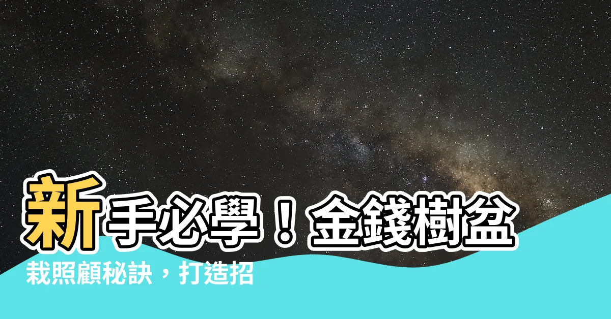 【金錢樹盆栽照顧】新手必學！金錢樹盆栽照顧秘訣，打造招財又好看的綠意環境