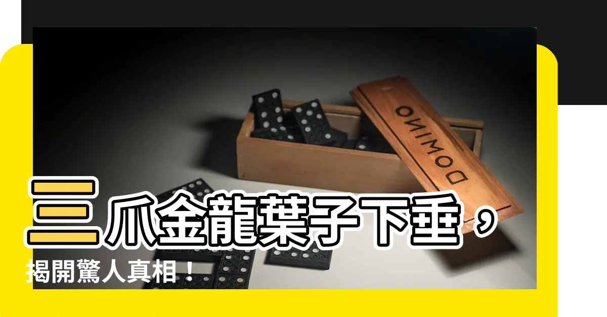 【三爪金龍葉子下垂】三爪金龍葉子下垂，揭開驚人真相！