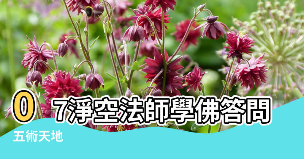 【風水師用血寫符可以害?e人嗎】07淨空法師學佛答問61 |五術天地 |如何畫符 |