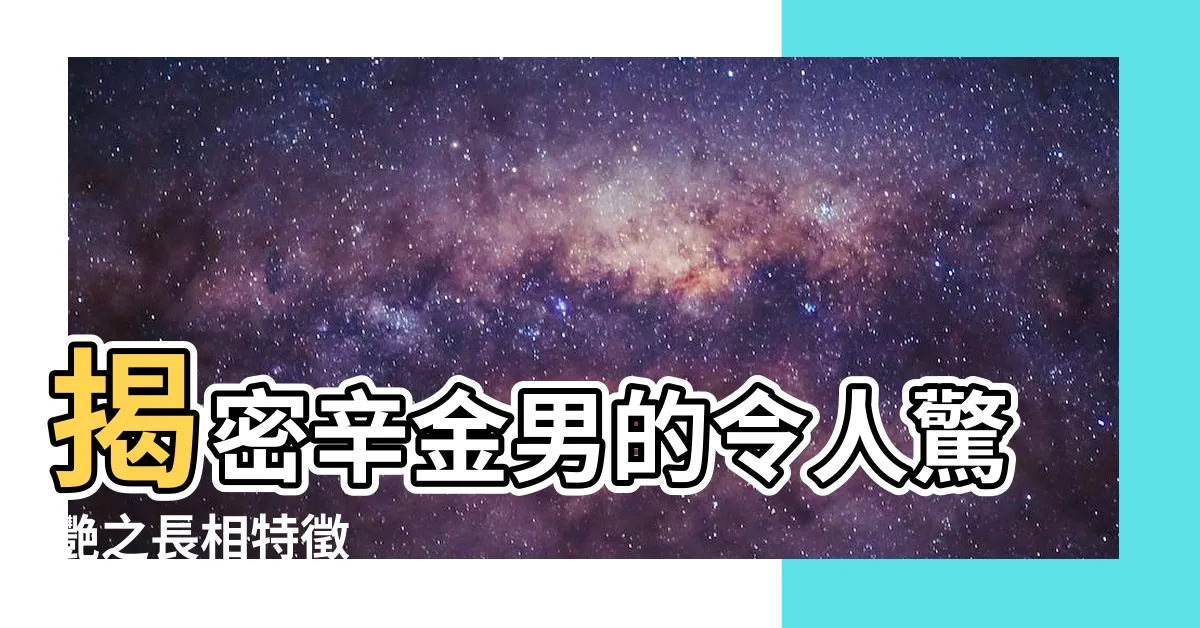 【辛金男長相】揭密辛金男的令人驚艷之長相特徵